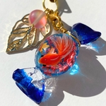 キャンディ金魚★紅葉（ブルー）
