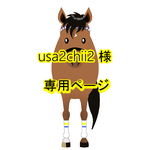usa2chii2様専用ページ