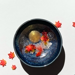 月夜の金魚～紅葉の池