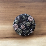 ITOSIGE様オーダー品