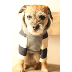 犬服 ※定番B49 あったかフリース グレー × 極太 紺ボーダー の長袖　