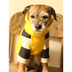 新作！犬服 ※定番B50 あったかフリース レモン色 × 極太 紺ボーダー の長袖　