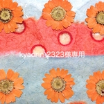 kyaorin-2323様専用
