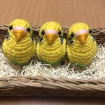piyoyo1204さま♡ご注文専用ページ:セキセイインコ（黄ハルクイン）＆サンタ帽子セット