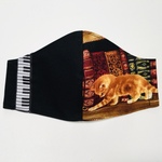 【本棚で遊ぶ猫】ハンドメイド 立体マスク フィルターポケットつき