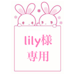 lily様専用ページ　スターフラワー ブロッサム 50本 (約3g) オレンジ 大地農園 紫陽花 3g ジュリアオレンジ ソフトピラミッドアジサイ ヘッド 大地農園