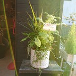 寒い季節こそ🌁⛄🌁〈室内で楽しむ観葉植物🍀〉