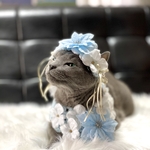 【猫用 花冠&ポンチョ】クリスマスセット🎄パステルブルー