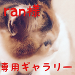 ran様 専用ギャラリー