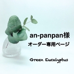 an-panpan様オーダー専用ページ