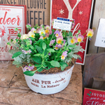 新作♡現品ラスト【フリルビオラ 華あられ寄せ植え】アイアンピックつき♡おしゃれなガーデニング♡イエロー系ブリキ鉢♪