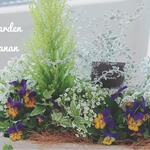 コニファーとビオラのボリューム寄せ植え✿お花の贈り物