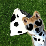 SS.S ★年賀状に★ 2021年 うし柄 猫用 犬用 小型犬 バンダナ 