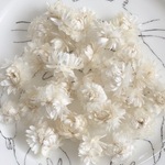 ヘリクサムヘッド　白　5g〜7g