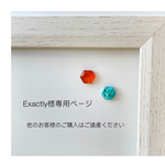 Exactly様専用ページになります。