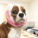 ❄︎雪の子スヌード❄︎