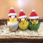 nattou32001さま専用♡セキセイインコちゃん＆オカメインコちゃんセット