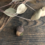 緑色の虫が出てきたどんぐりブローチ