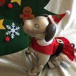 aiboクリスマスワンピースセット