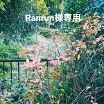 Ranrun様専用