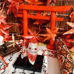 舞紅狼