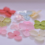 chisa様　専用ページ