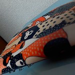 普通サイズ ガラックマ ラミネートポケットティッシュカバー（＝ポケットティッシュケース）