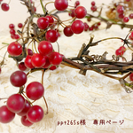 ＊ppt265s様　専用ページ＊