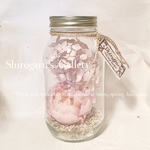 ❀drno0819様専用オーダーページ❀