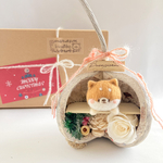 Xmas限定☆幸せの実 ブッダナッツクリスマス 柴犬のしばちゃん