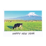 2021 年賀状　うし