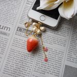 107io様専用★　大人の苺の充電口アクセサリー＆イヤホンジャック（苺1粒）iPhone用