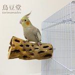 鳥 とまり木 カクタスパーチ（サボテンのとまり木）直径6cm前後／15cm 小型インコ・中型インコ