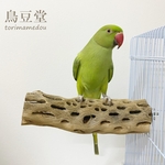 鳥 とまり木 カクタスパーチ（サボテンのとまり木）直径6cm前後／20cm 小型インコ・中型インコ