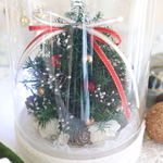 小さな　ガラスドーム　　大人かわいい　クリスマスツリー　🎄