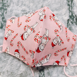 送料無料꙳★*ﾟ秋用マスク/大人用/プレゼントにも/冬用マスク/かわいい/冬用/爽やか/手作りマスク/ハンドメイド/クリスマス柄/雪/クリスマス/トナカイ/サンタクロース/サンタさん