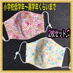 ★子供用立体マスク★ 2枚セット