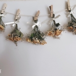 ドライフラワー黄薔薇、かすみ草花束
