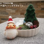 《受注製作》アトリエトモコ☆インコの森のクリスマスA あみぐるみ オカメインコ