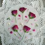 押し花素材　No837　バラのセット　