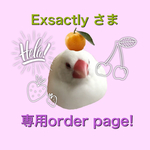Exsactly さま　専用オーダー　ページ