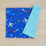 🐱25Ｘ35㎝✈撥水加工ランチョンマット