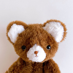 niimico. teddy Walter