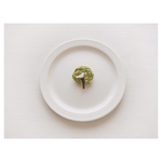 もこもこの木 ＊ 小鳥
