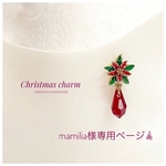 mamilia様様専用ページ♪  ꫛꫀꪝ✧‧˚クリスマス✨ポインセチアのマスクチャーム　マグネット　スワロフスキー　冬　クリスマス　ウィンター　マグネットピアス　