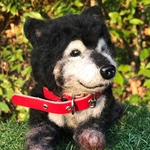 1124noko様専用 甲斐犬チョコちゃん羊毛フェルト