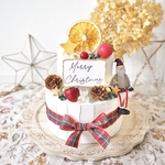 クレイケーキ　飾り付き　ウェルカムスペース　イミテーションケーキ　クリスマスケーキ　サンタさん付き