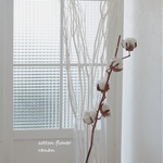 ●●●cotton  flower＆White三又●●●  