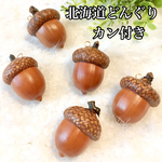 北海道どんぐり＊チャーム 5個