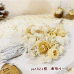 ＊ppt265s様　専用ページ＊